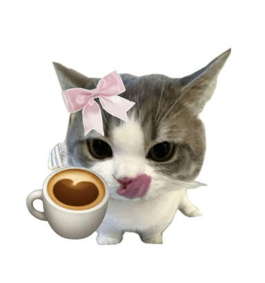 Coffee chat kitten