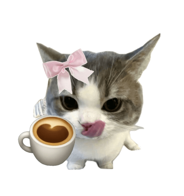 Coffee chat kitten
